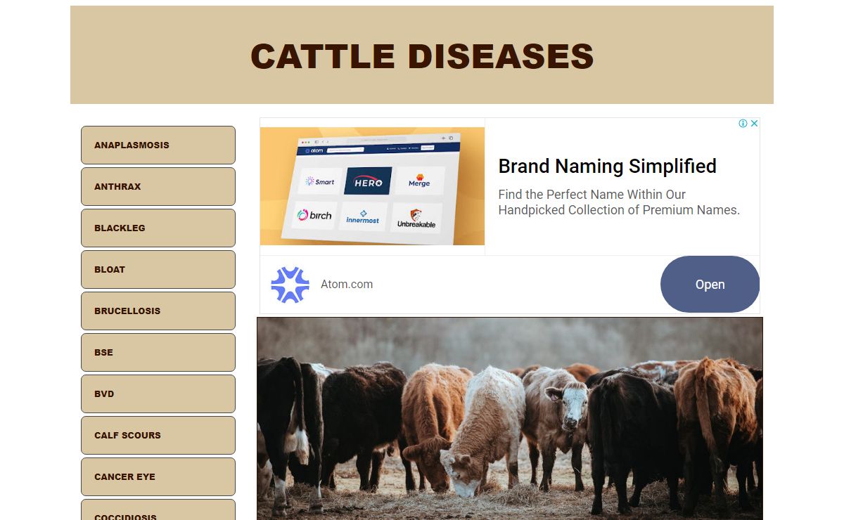 Cattle Diseases