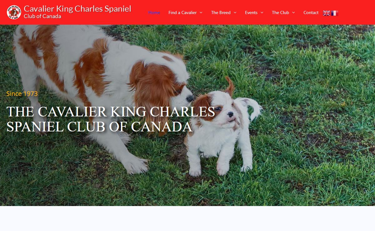 Home - Cavalier King Charles Spaniel Club of Canada