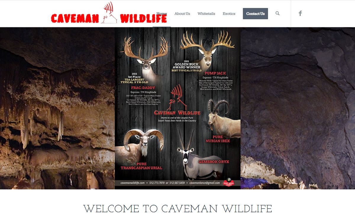 Homepage - Caveman Wildlife