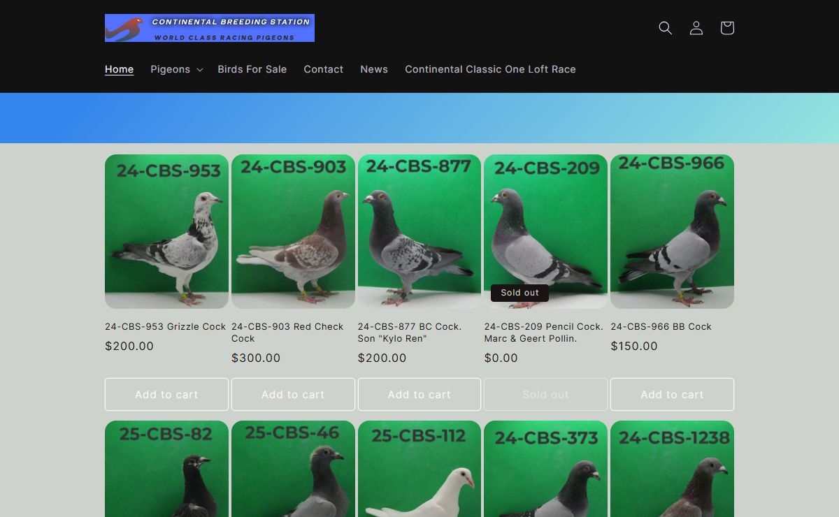 Continental Breeding Station – CBS Pigeon