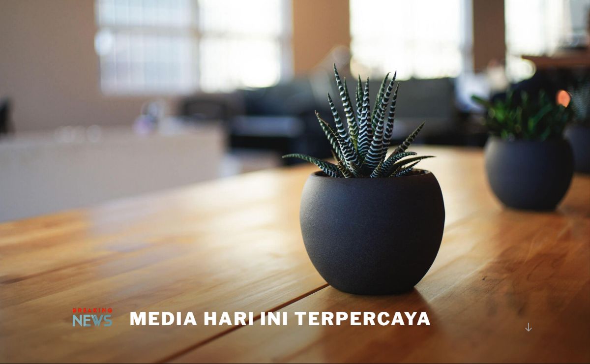 Media Hari Ini Terpercaya