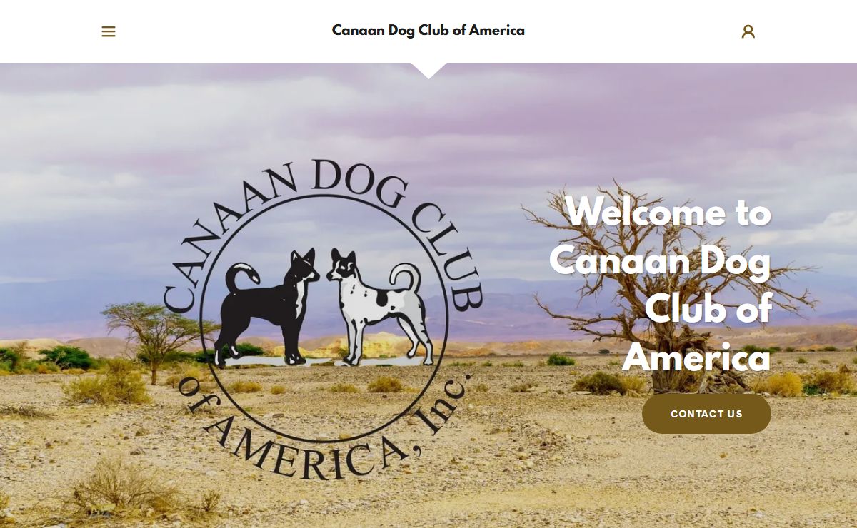 Canaan Dog Club of America