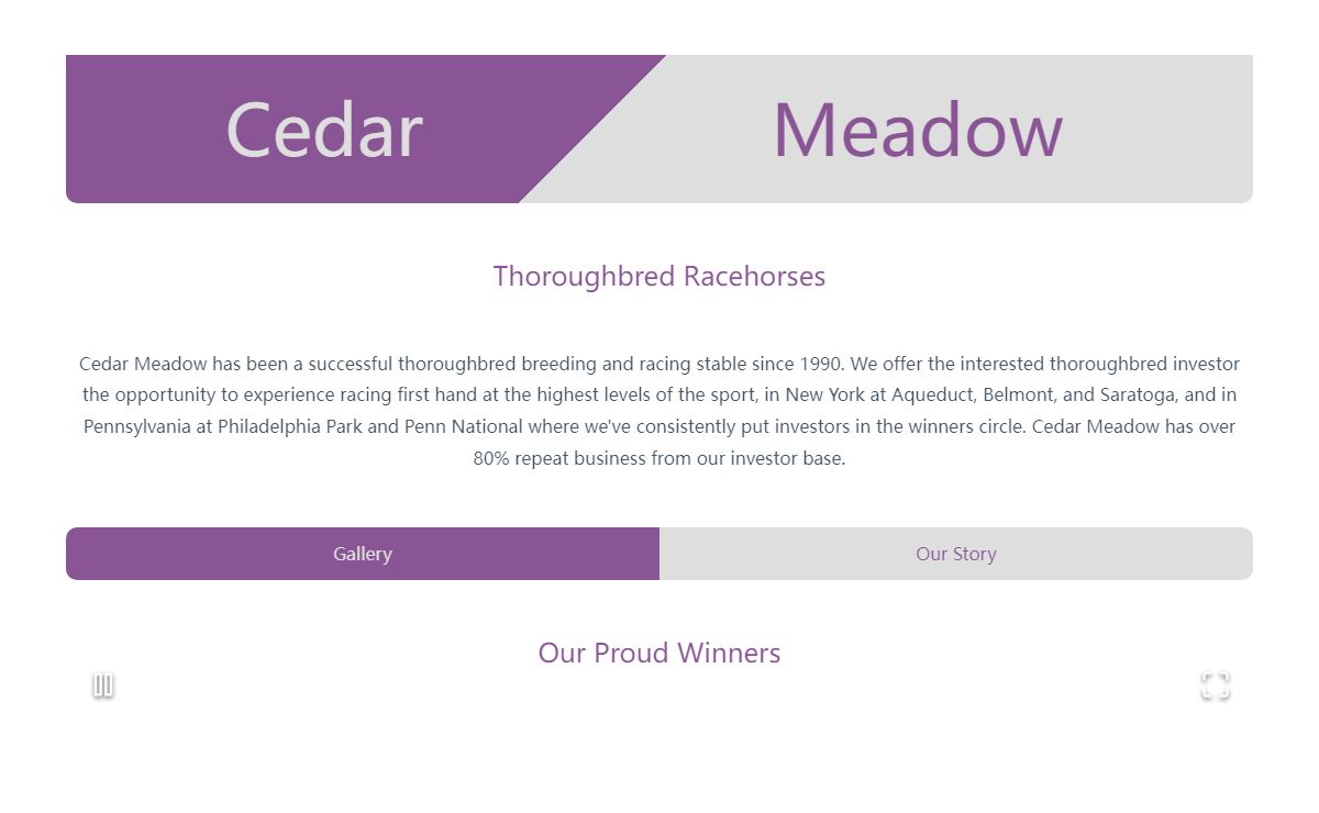 Cedar Meadow - Thoroughbred Horse Racing and Breeding Investment