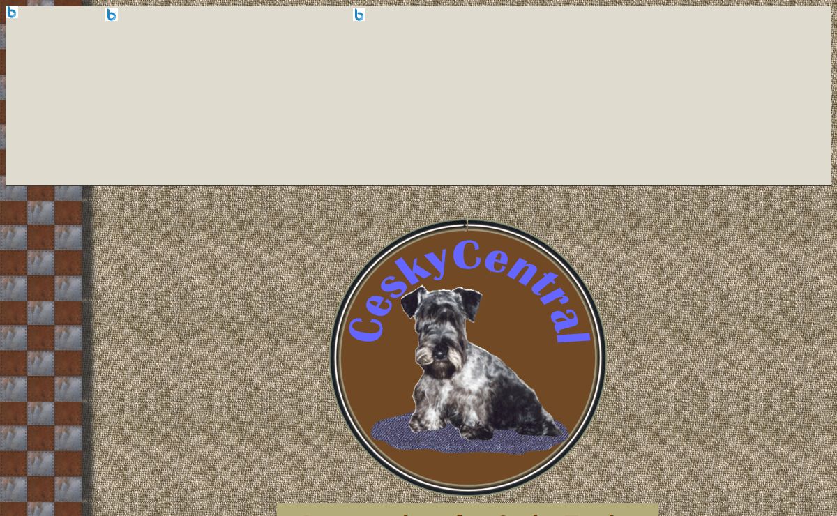 Cesky Terrier Central Home Page