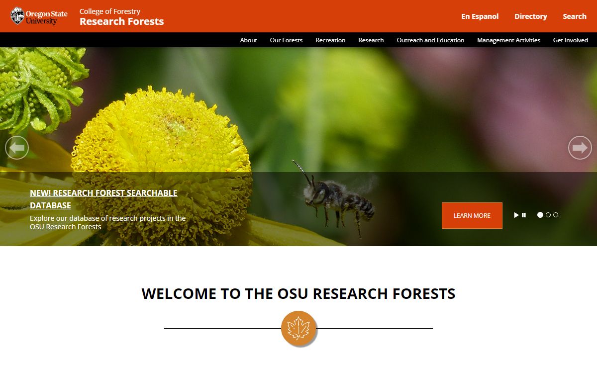 Homepage | Research Forests