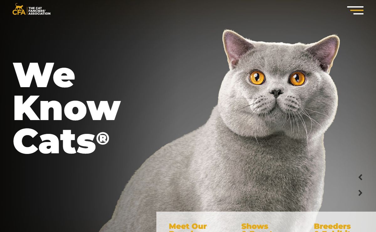 Home - The Cat Fanciers' Association