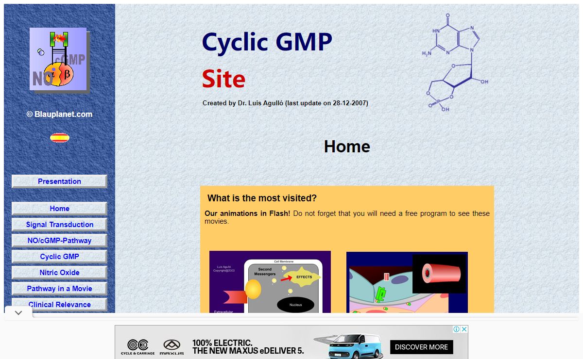 Cyclic GMP Site