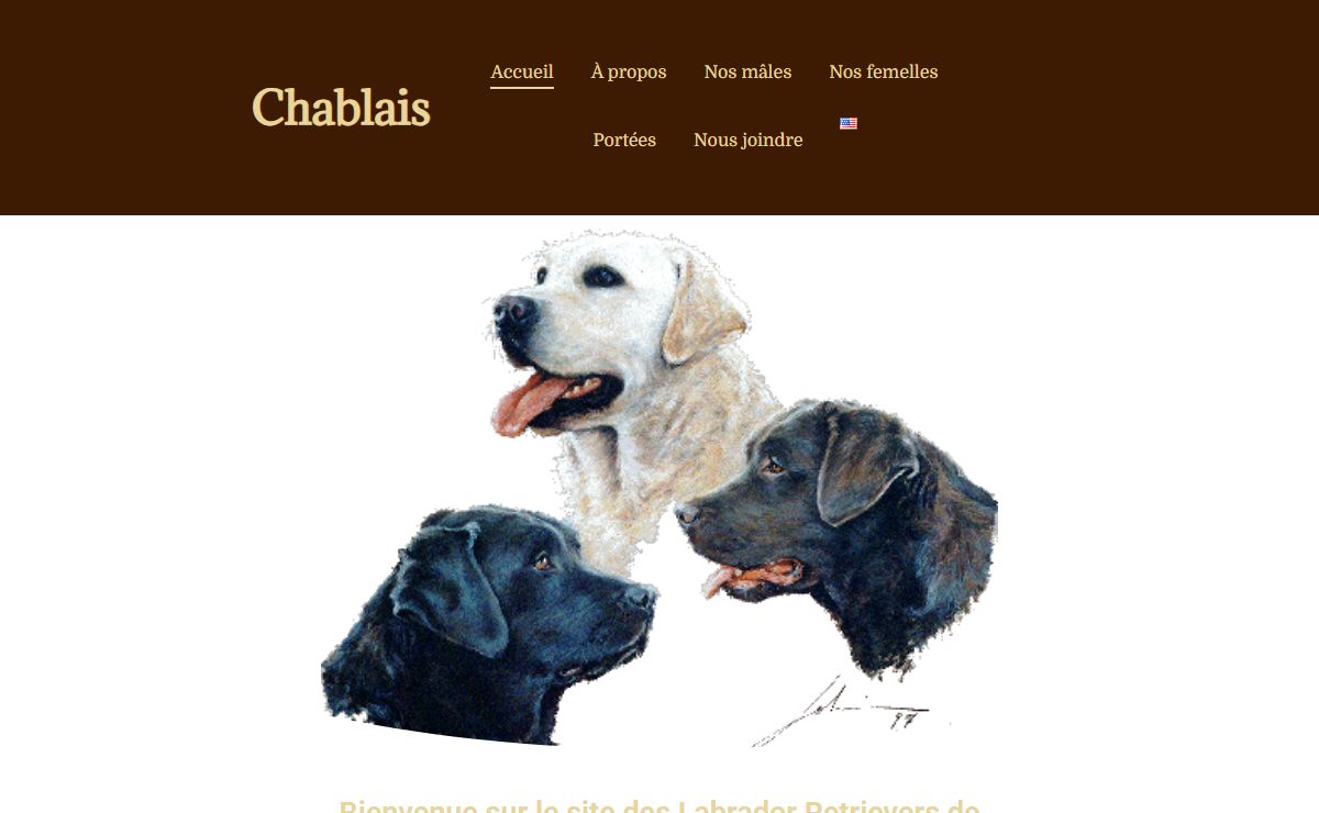 Chablais Labrador Retriever