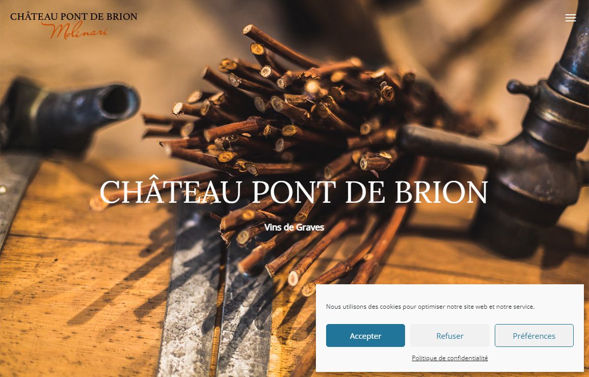 Château Pont de Brion vins de graves vins graves superieures
