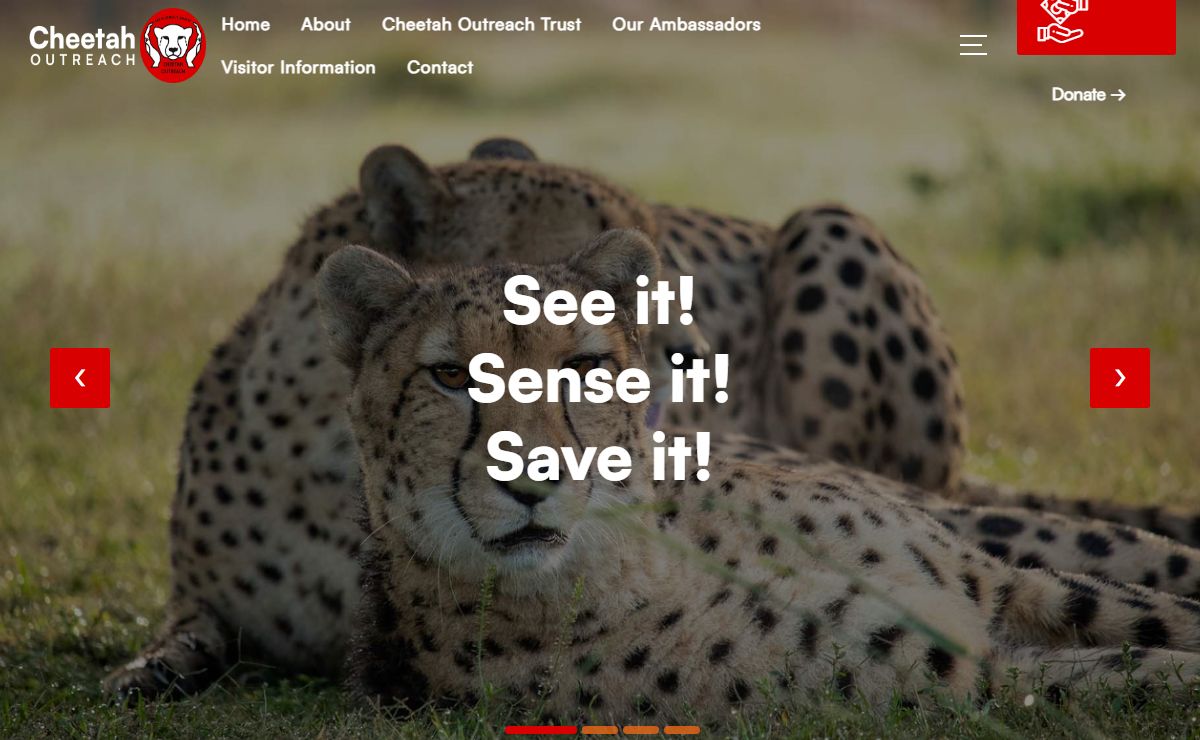 Cheetah Outreach