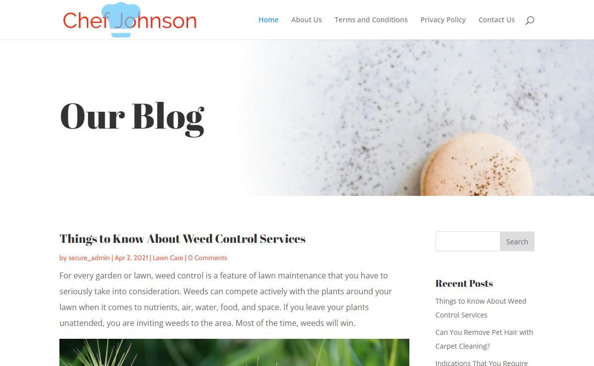 Chef Johnson - Leander handyman services, Leander mobile auto detailing service, Leander window cleaning service, Austin carpet cleaning service, Greenville lawn care and maintenance