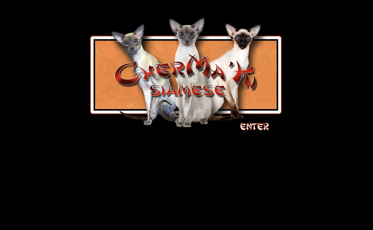 : : : CherMa'Ke Siamese : : :