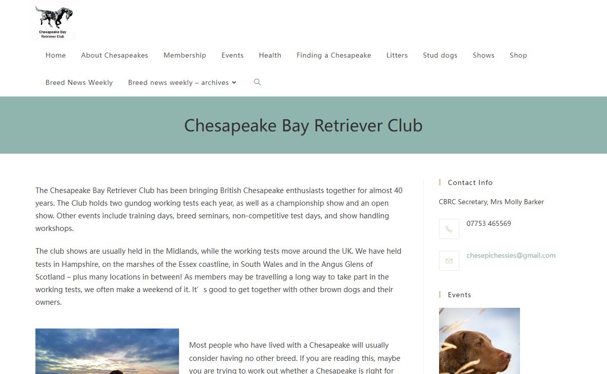 - Chesapeake Bay Retriever Club