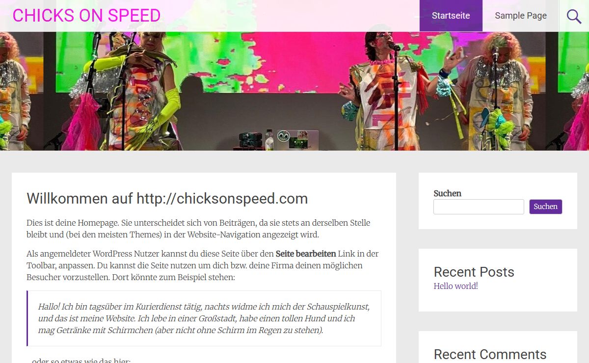 CHICKS ON SPEED – Eine andere WordPress-Site.