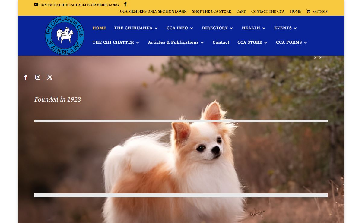 The Chihuahua Club of America | The Official Website of the Chihuahua Club of America