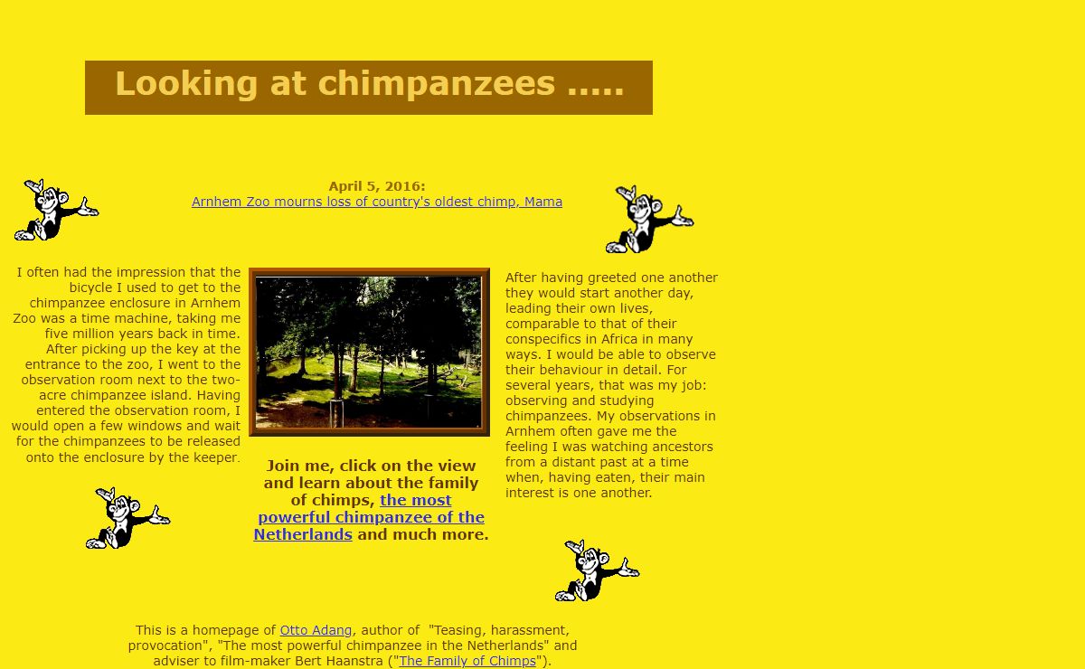 Looking at chimpanzees ....