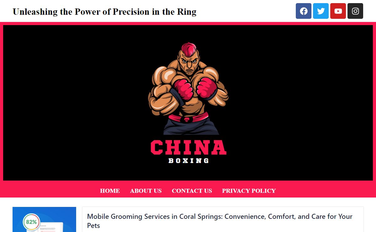 china-boxing – Unleashing the Power of Precision in the Ring