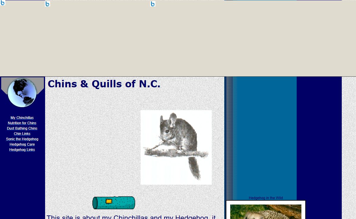 Chins & Quills of N.C.