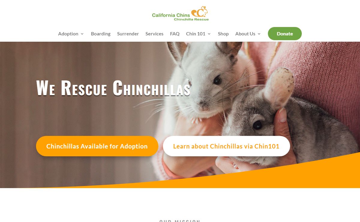 California Chins | Chinchillas Rescue Association