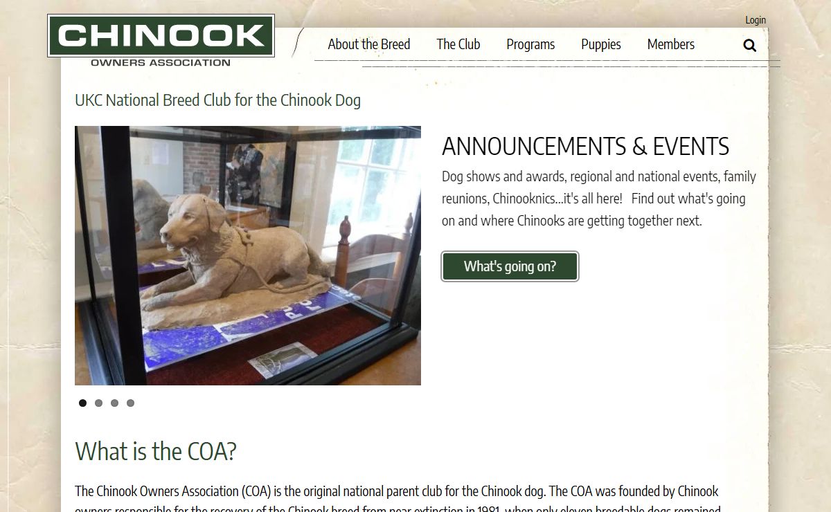Chinook Owners Association - UKC National Breed Club for the Chinook Dog