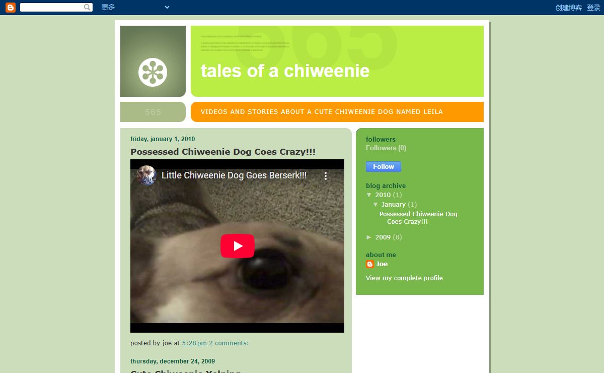 Tales of a Chiweenie