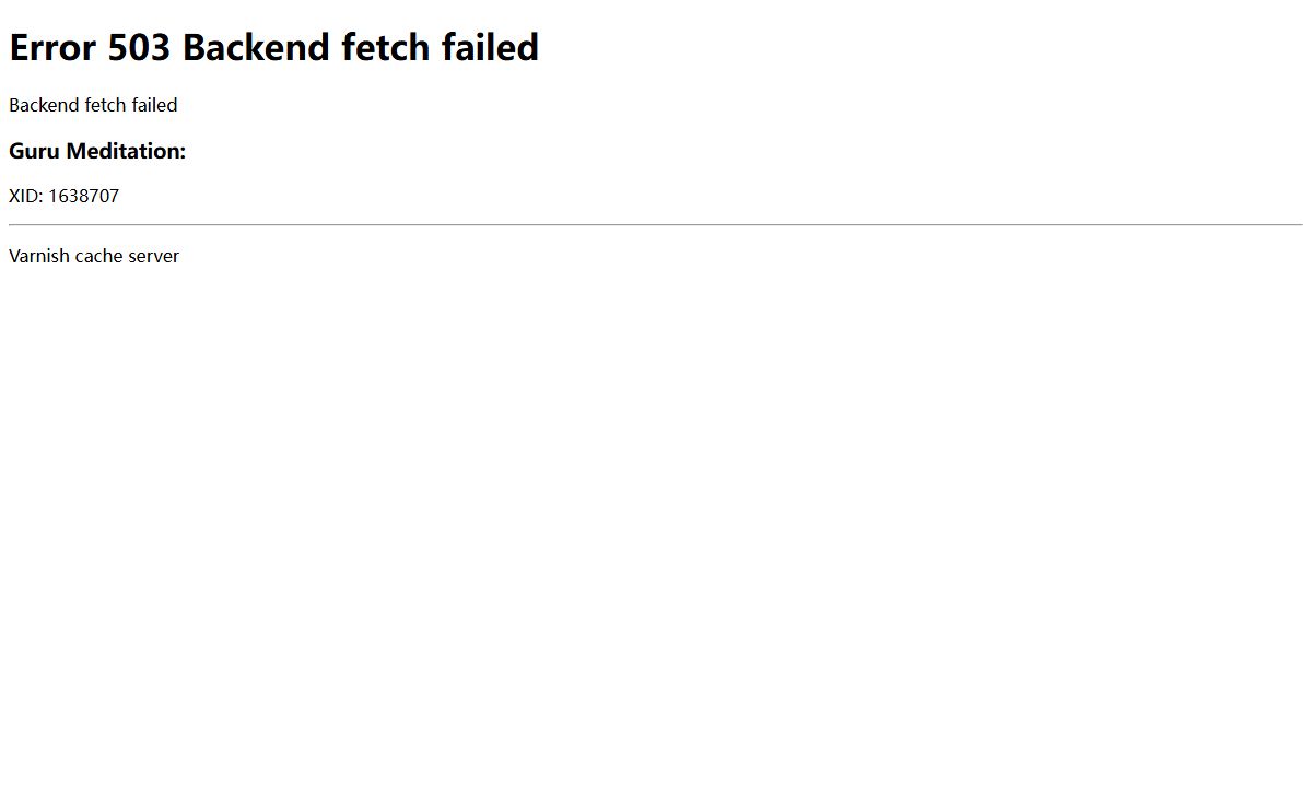 503 Backend fetch failed