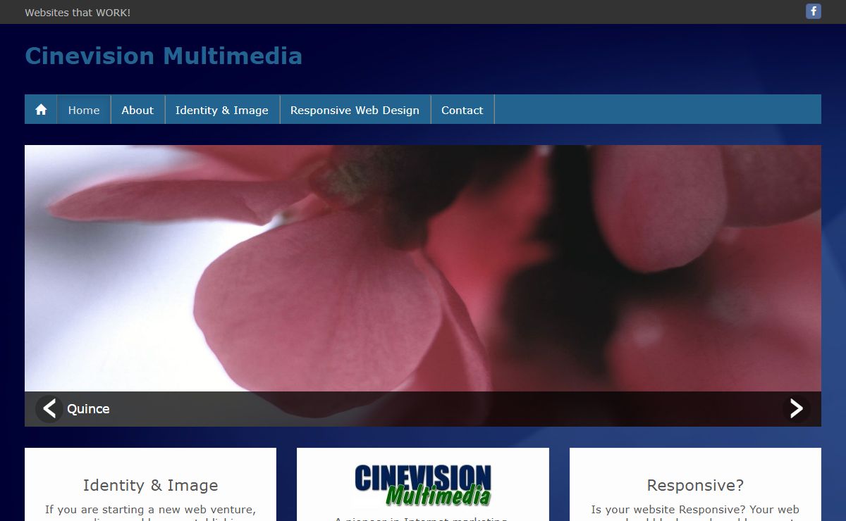 Cinevision Multimedia – Websites that WORK!