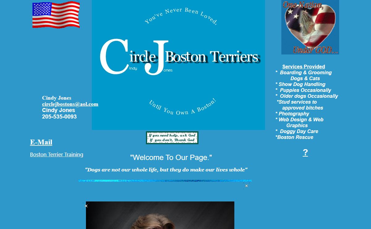 Circle J's Boston Terriers Breeder Puppy For Sale Breeding Puppies Show Quality
