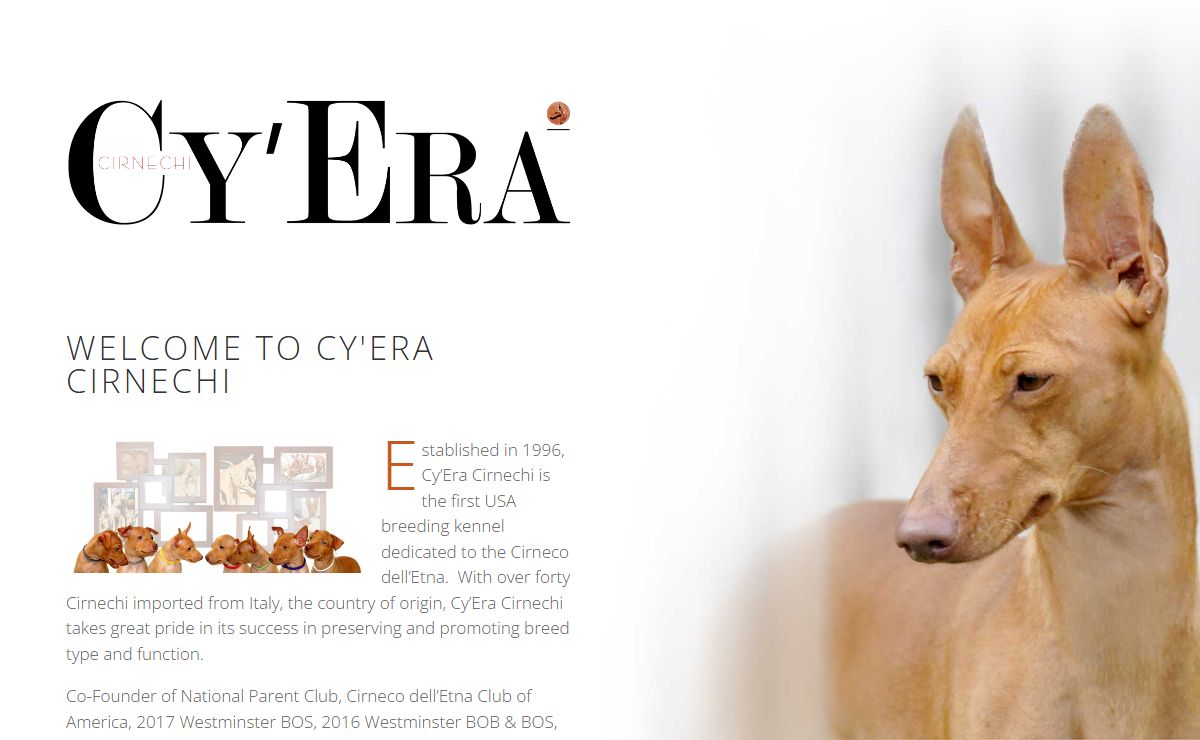 Cy'era Cirnechi | The Home of the Cirneco del Etna