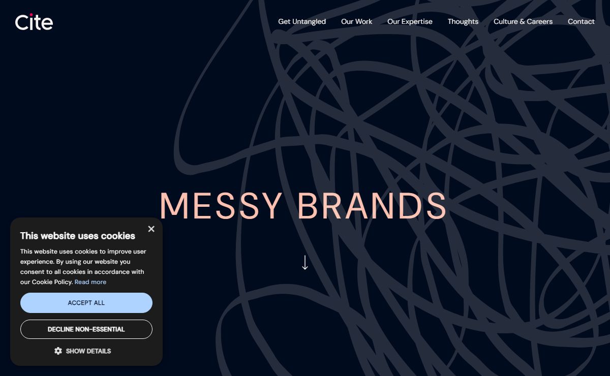 Solving Brand, Digital and Campaign challenges - Cite