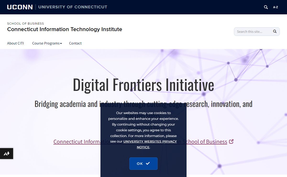 Home | Connecticut Information Technology Institute