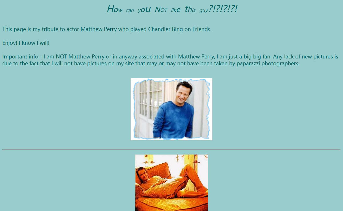 CitizenNancy's Matthew Perry Scrapbook