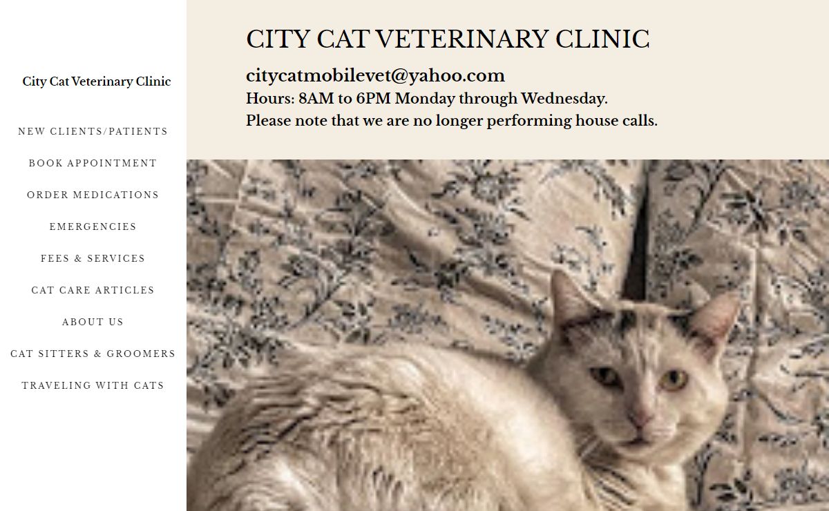 City Cat Veterinary Clinic