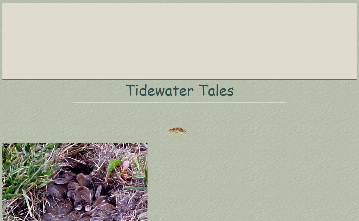 Tidewater Tales