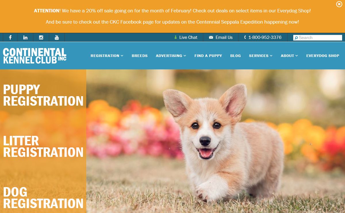 Continental Kennel Club | CKC Dog Registration