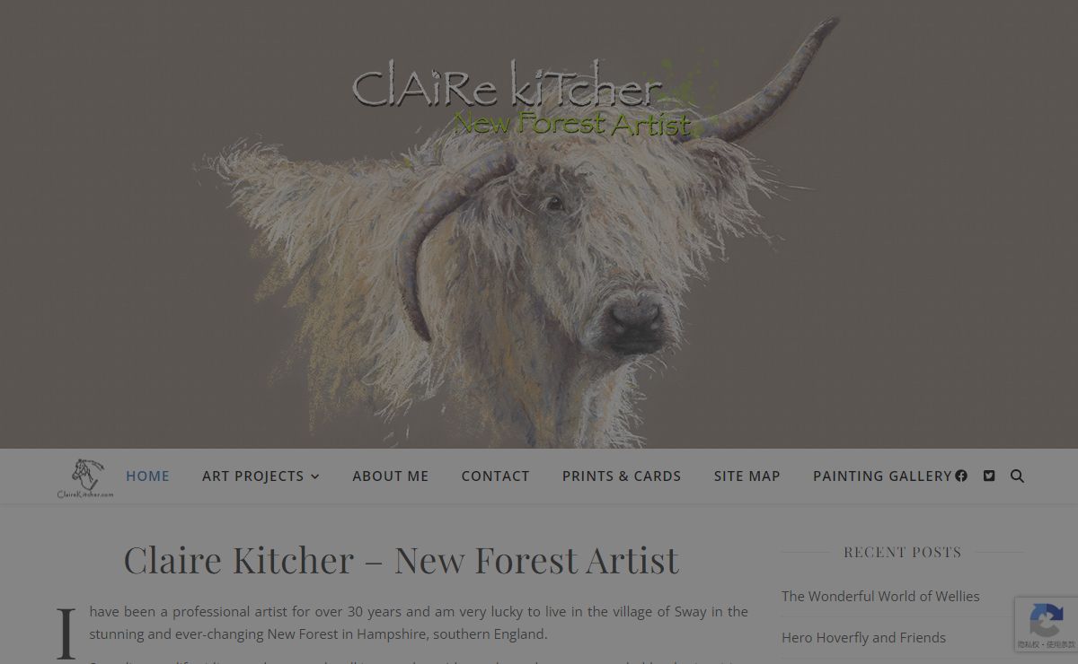 Claire Kitcher - New Forest Artist
