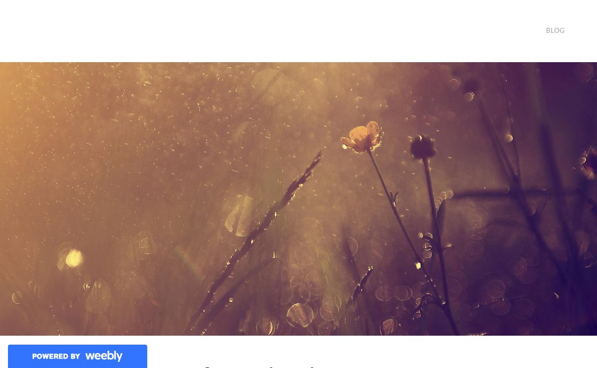 Blog
