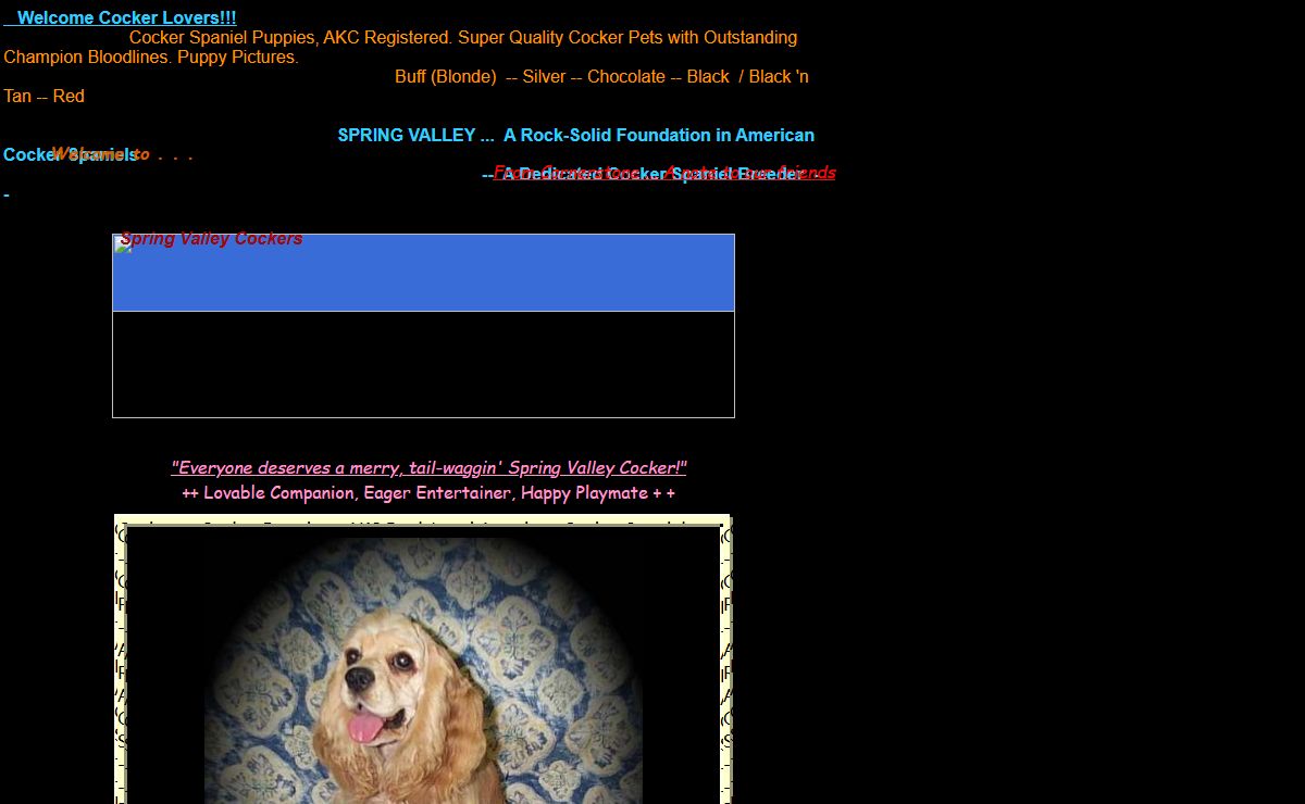 Cornerstone American Cocker Spaniels