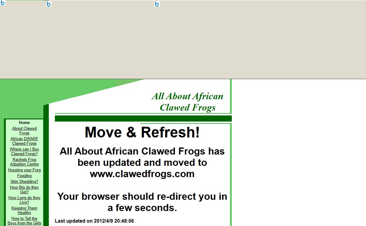 All About African Clawed Frogs