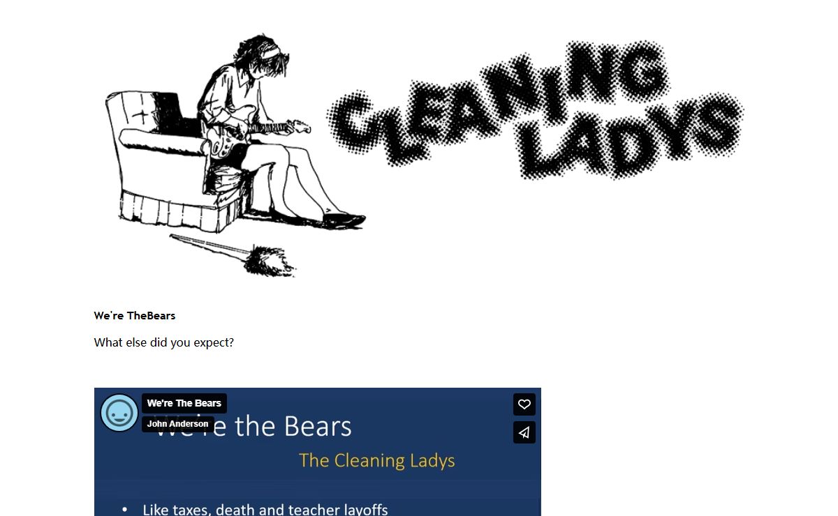 the cleaning ladys