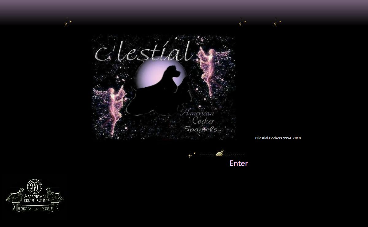 Welcome to C'lestial Cockers