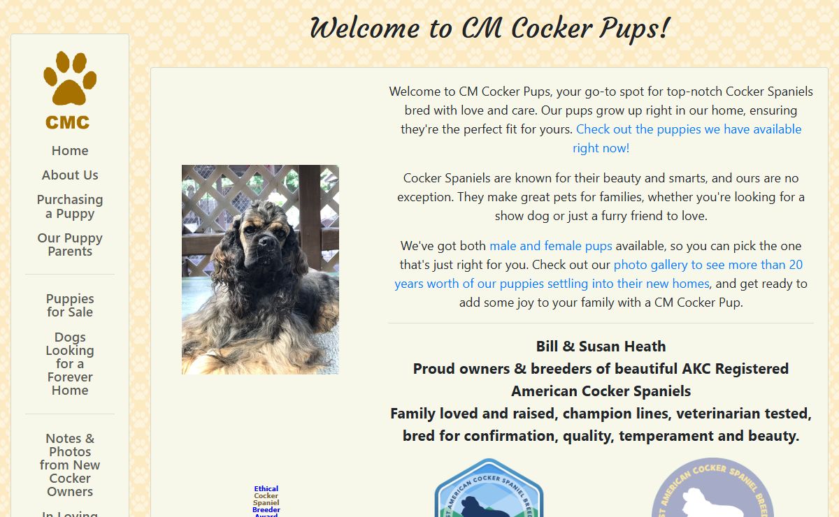 CM Cocker Pups American Cocker Spaniel Breeder | CMCockerPups