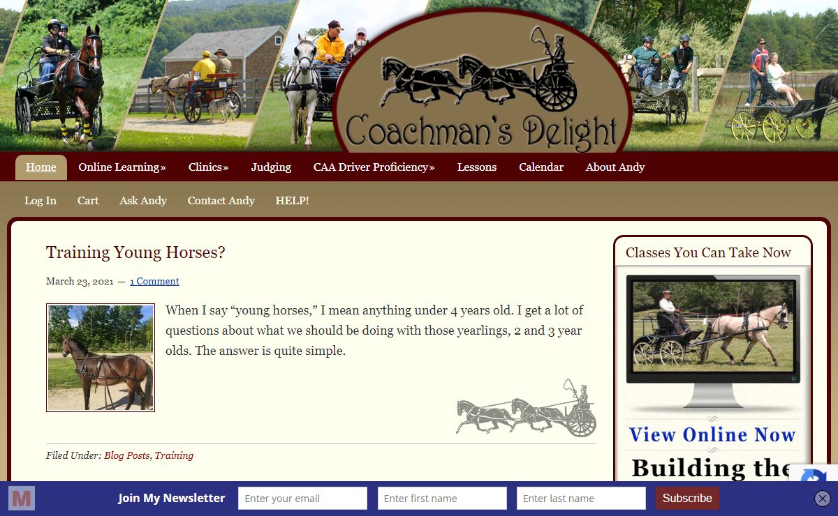 Blog ~ Coachman's Delight