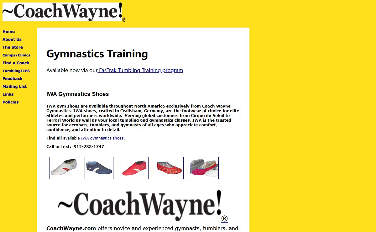 CoachWayne.com - Gymnastics, Tumbling, Cheerleading. Get it all here: articles, videos, books, clinics, expert witness consulting and weekly classes.