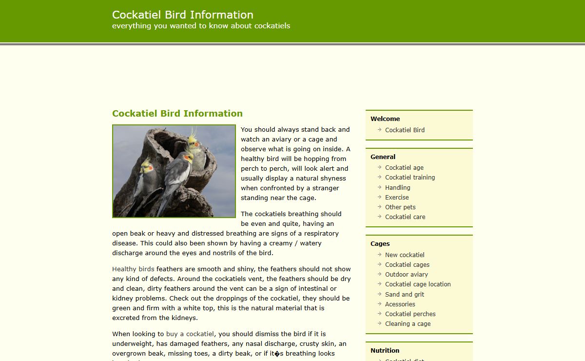 Cockatiel Bird Information