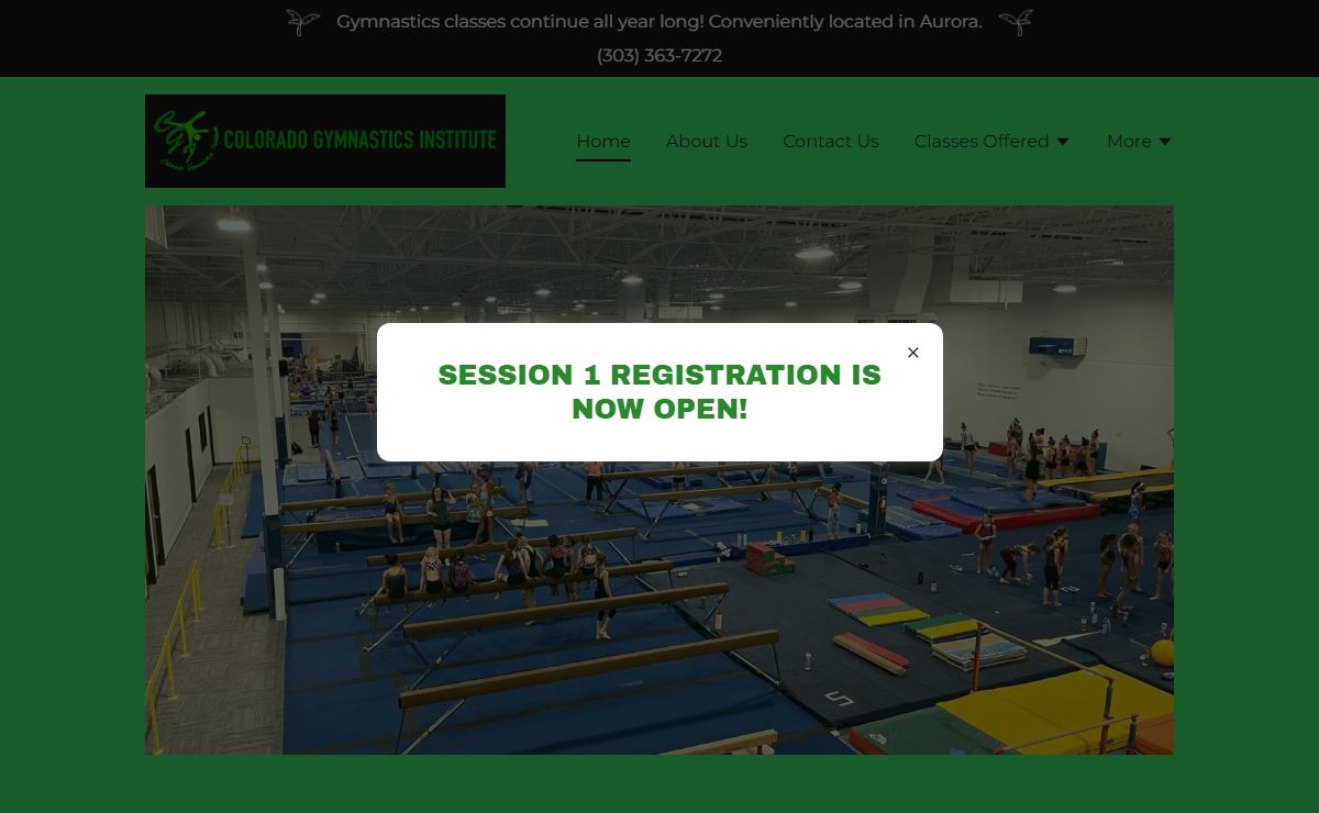 COLORADO GYMNASTICS INSTITUTE