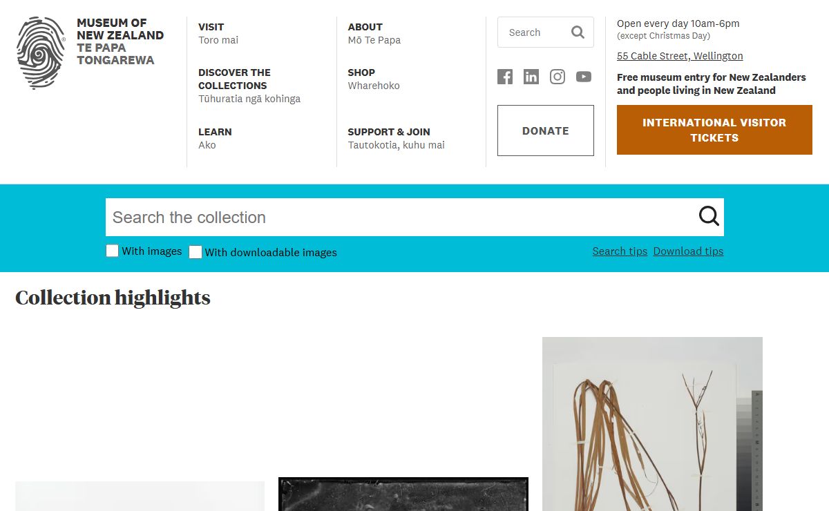 Collections Online - Museum of New Zealand Te Papa Tongarewa
