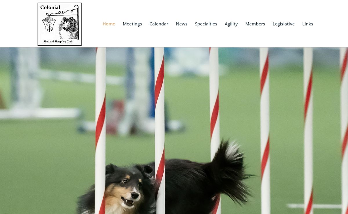 Home - Colonial Shetland Sheepdog Club