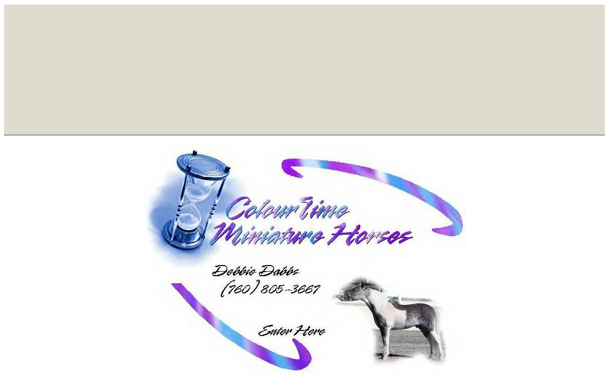 Welcome to Colourtime Miniature Horses