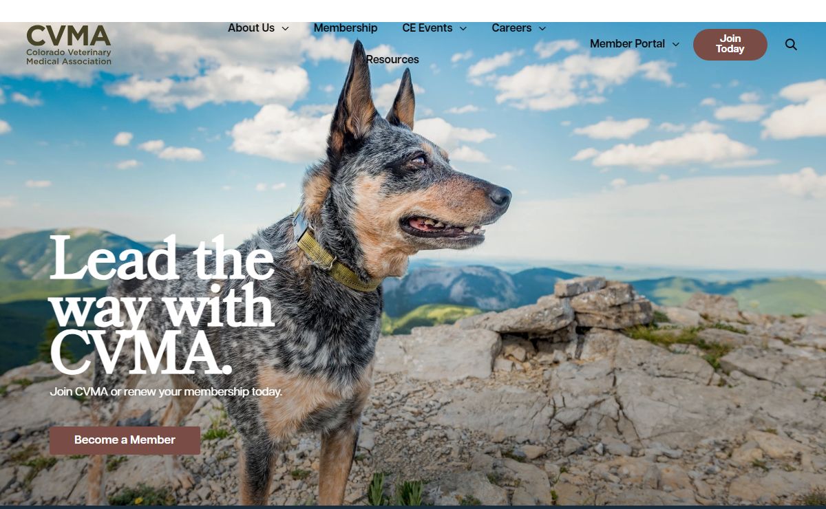Home - CVMA